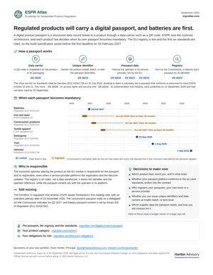 Page preview of The DPP primer